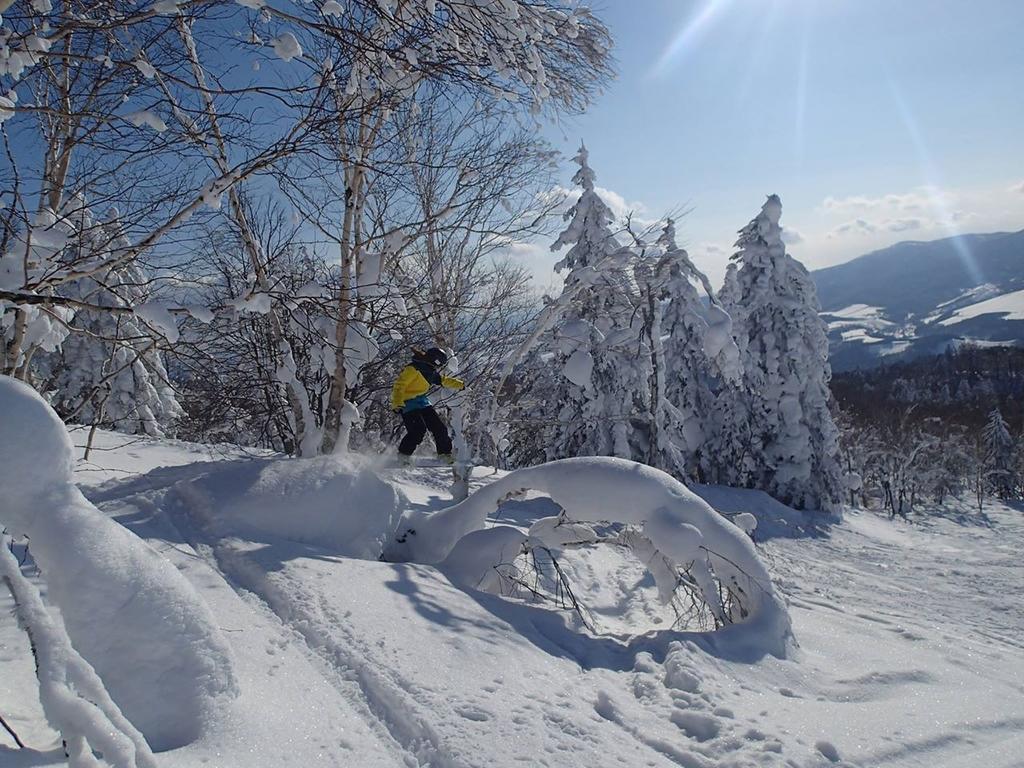 Hoshino Resorts Asahikawa Grand Hotel Extérieur photo